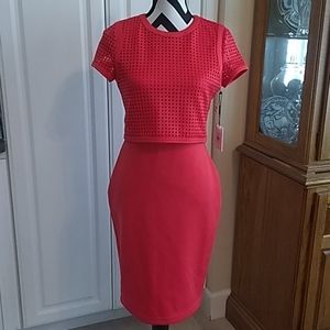 Nwt Calvin Klein dress watermelon pink coral sz 4